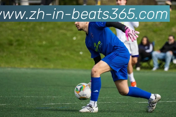 beats365平台生态图